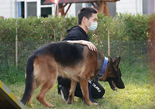 户外训练场