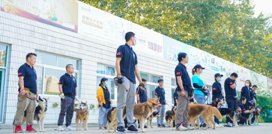 室内训练场